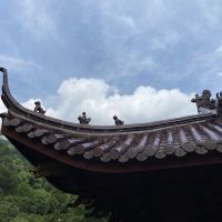 評論圖片 4