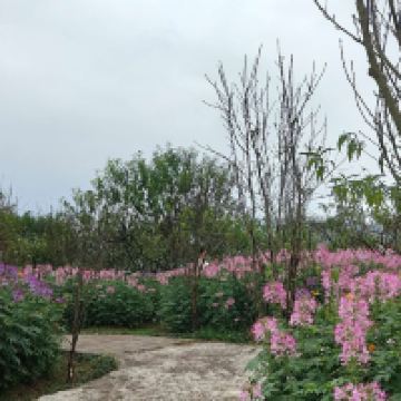 評論圖片 2