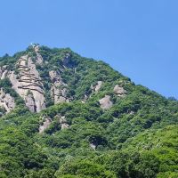 評論圖片 8