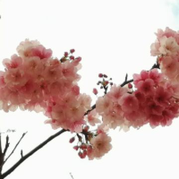 評論圖片 2