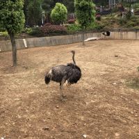評論圖片 5