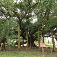評論圖片 3