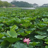 評論圖片 5