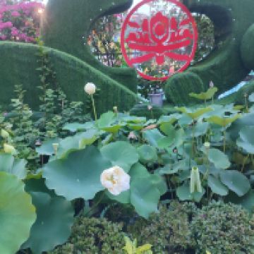 評論圖片 3