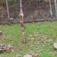 評論圖片 9