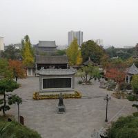 評論圖片 4
