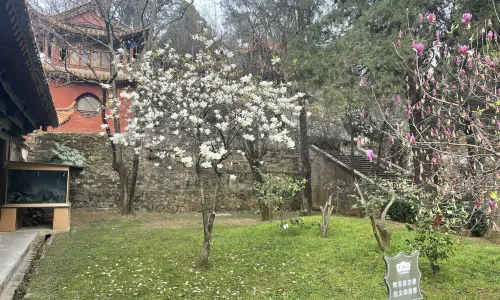 ตำหนักทองจินเตี้ยน