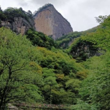 評論圖片 5
