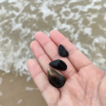評論圖片 4