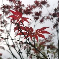評論圖片 7