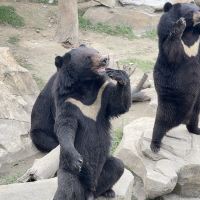 評論圖片 7