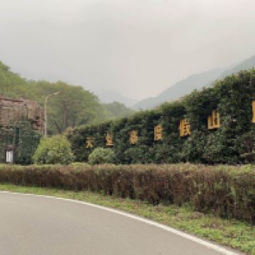 評論圖片 1