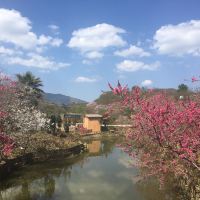 評論圖片 4
