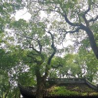 評論圖片 6