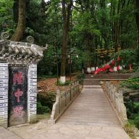 評論圖片 7