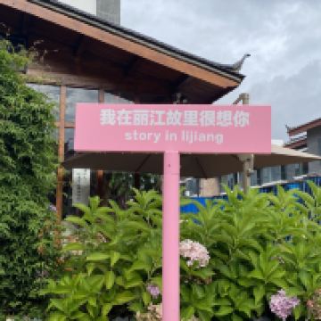 評論圖片 7