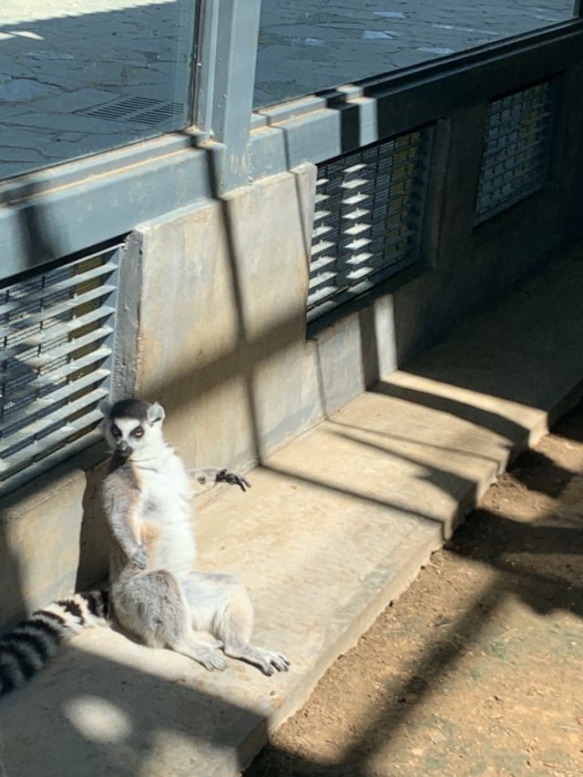 룽커우 동식물원