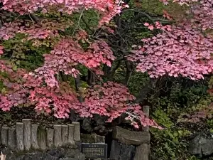 Guan Men Shan Valley Scenery