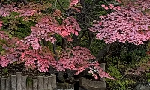 관문산 국가 삼림공원