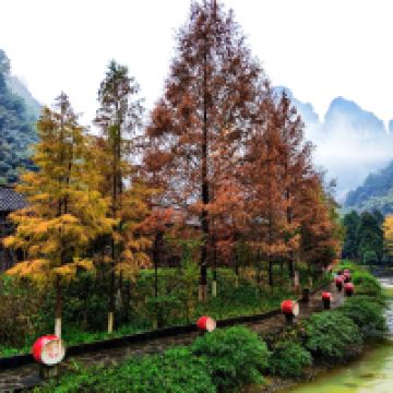 評論圖片 1