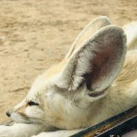 評論圖片 1