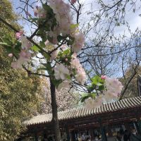 評論圖片 5