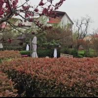 評論圖片 7