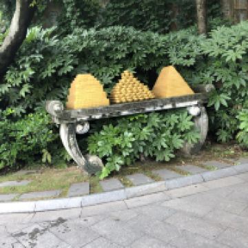 評論圖片 3