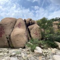 評論圖片 4