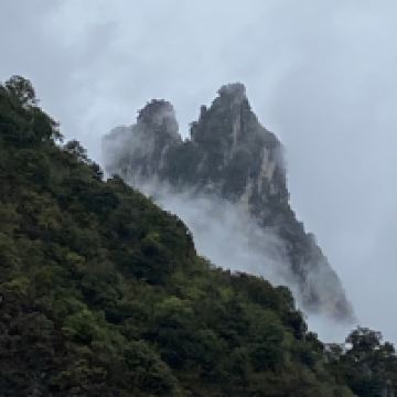 評論圖片 1