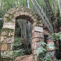 評論圖片 6