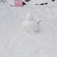 評論圖片 9
