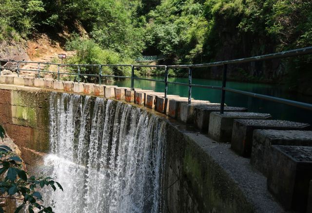 大奇山國家森林公園