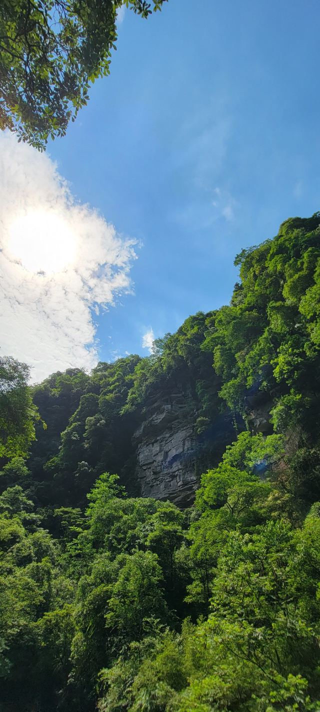 Bifengxia Giant Panda Base