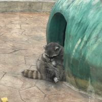 評論圖片 1