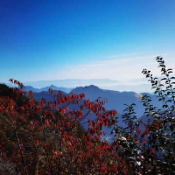 評論圖片 1
