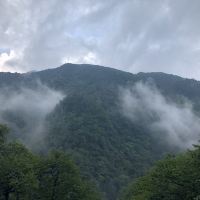 評論圖片 6