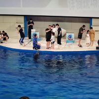 評論圖片 7