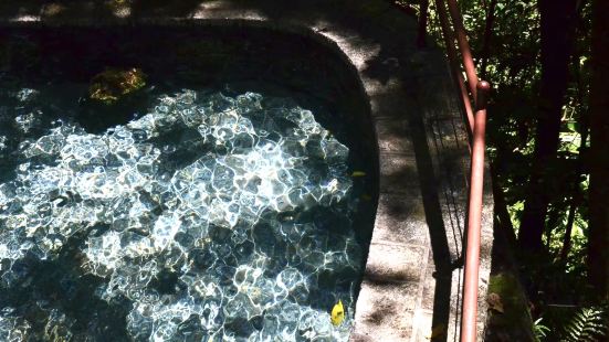 暑期对樱花谷而言属于淡季，对我而言正好，由于有了温泉的存在，