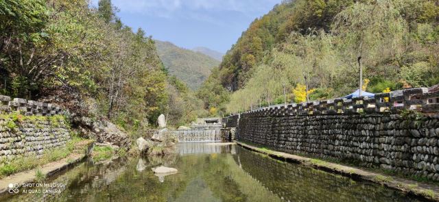牛背梁国家森林公園