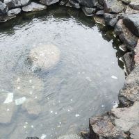 評論圖片 8