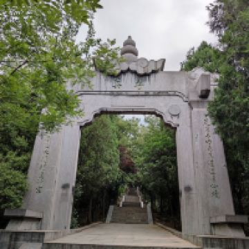 評論圖片 3