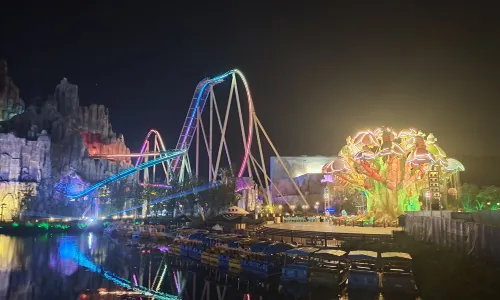 Joyland