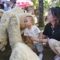 評論圖片 3