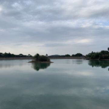 評論圖片 1