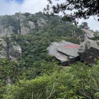 評論圖片 8