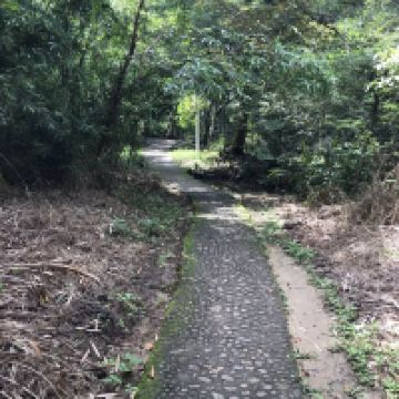 評論圖片 5