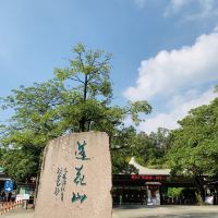 評論圖片 7