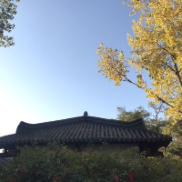 評論圖片 2