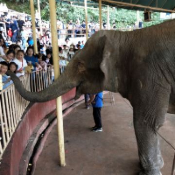 評論圖片 1